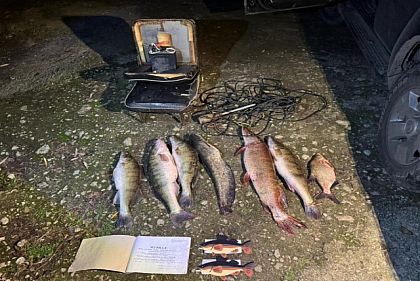 За тиждень на Дніпропетровщині виявили 150 порушень правил рибальства – які збитки довкіллю