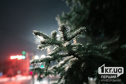 Погода в Кривом Роге на 23 декабря