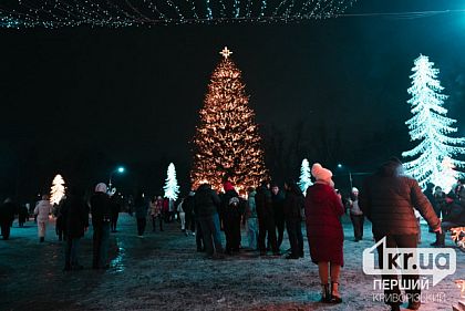 Какой будет погода в Кривом Роге 24 декабря