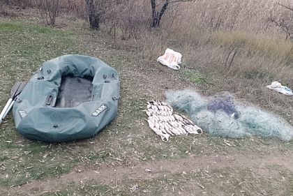В Днепропетровской области разоблачили браконьера, который незаконно ловил рыбу сетками