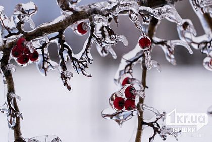 Какоой будет погода в Кривом Роге накануне и после Нового года