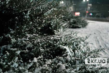 Будет снежить: погода в Кривом Роге 30 декабря