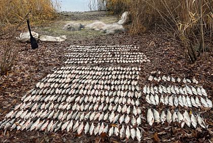За неделю на водоемах Днепропетровской области выявили 52 нарушения
