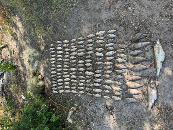 На Дніпровському водосховищі виявили грубе порушення правил рибальства На Дніпровському водосховищі виявили грубе порушення правил рибальства