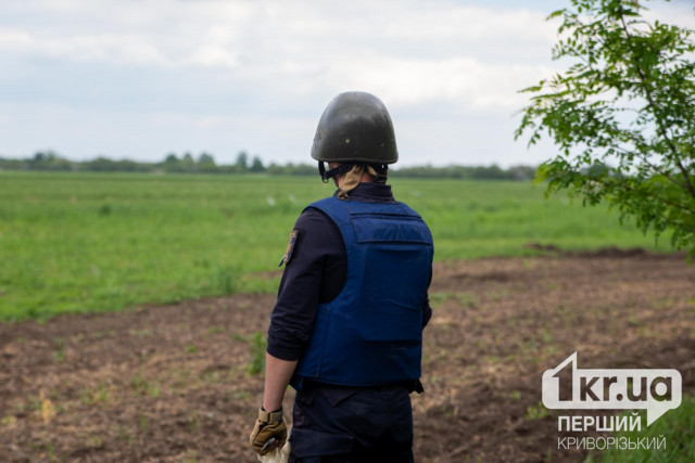 Сколько устаревших и современных боеприпасов уничтожили на Криворожье за неделю Сколько устаревших и современных боеприпасов уничтожили на Криворожье за неделю