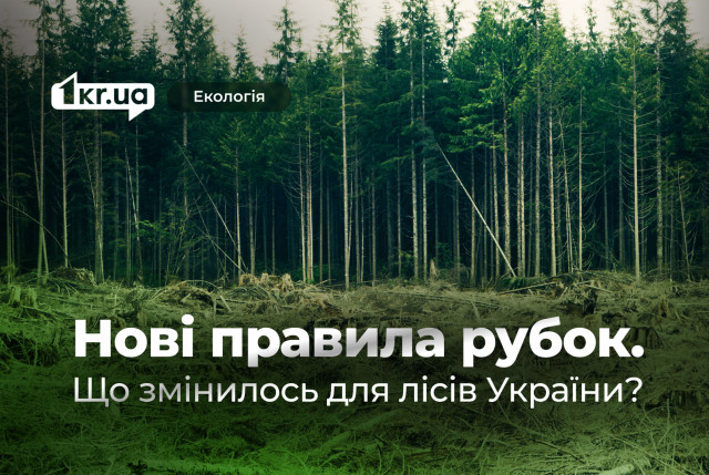 Изменения в правилах вырубки леса: шаг к прозрачности или угроза природе? Изменения в правилах вырубки леса: шаг к прозрачности или угроза природе?