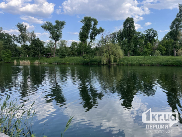 В реке возле одного из пляжей Кривого Рога обнаружили кишечную палочку и паразита В реке возле одного из пляжей Кривого Рога обнаружили кишечную палочку и паразита