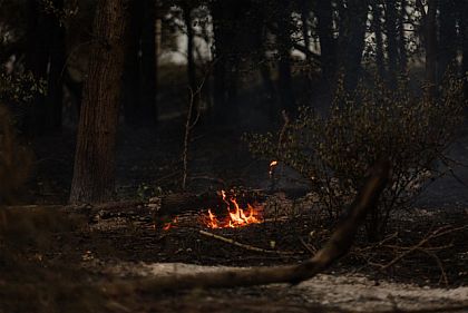 За 5 місяців на Дніпропетровщині горіло майже 2 тисячі гектарів екосистеми