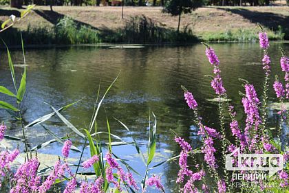 Возможен мелкий дождь: погода в Кривом Роге 4 июня