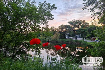 Преимущественно солнечно: погода в Кривом Роге 5 июня