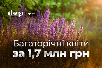 Криворізькі комунальники виділили понад 1,7 мільйона гривень на квіти-багаторічки Криворізькі комунальники виділили понад 1,7 мільйона гривень на квіти-багаторічки