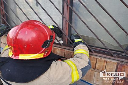 Криворожские спасатели помогли кошке, которая застряла за металлическими прутьями