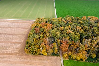 В Днепропетровской области предприятие недоплатило 20 млн грн арендной платы за землю