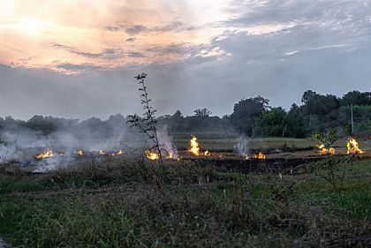 У Кривому Розі надзвичайна пожежна небезпека триватиме до кінця тижня