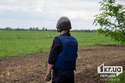 Сколько устаревших и современных боеприпасов уничтожили на Криворожье за неделю