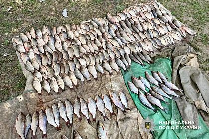 В Днепропетровской области за два месяца браконьеры наловили рыбы на 3 миллиона гривен