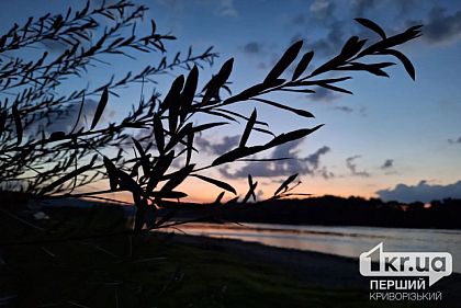Преимущественно облачно: погода в Кривом Роге 25 июня