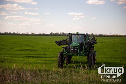 Тысячи гектаров земли Криворожья засеяли зерном: выполняют ли план аграрии
