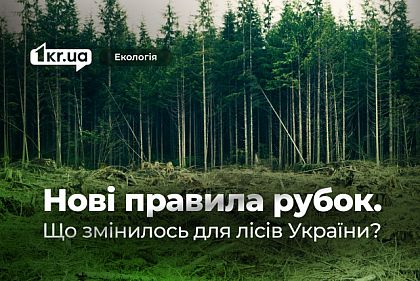 Изменения в правилах вырубки леса: шаг к прозрачности или угроза природе? Изменения в правилах вырубки леса: шаг к прозрачности или угроза природе?