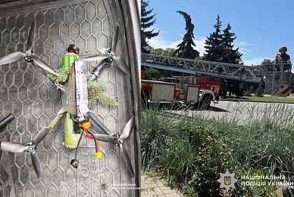 В Никополе обезвредили дрон со взрывчаткой, который застрял на елке
