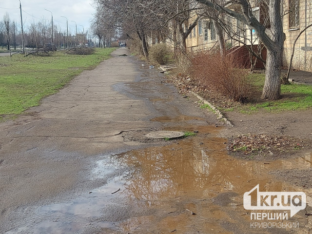 Залило две улицы: в Саксаганском районе Кривого Рога вытекает вода