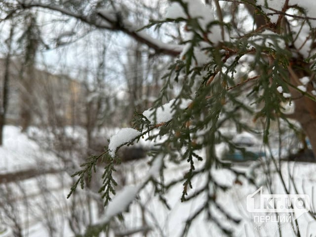 От -10°С до +3°С: погода в Кривом Роге на неделю