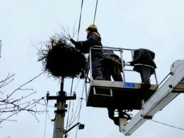 Минулоріч енергетики облаштували на Дніпропетровщині 13 безпечних гнізд для лелек