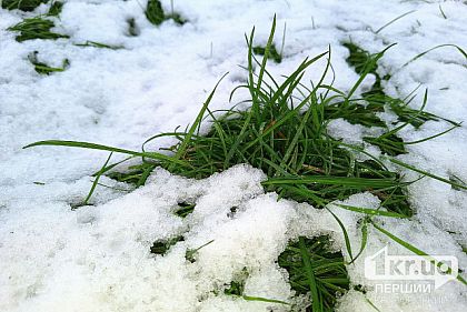Возможен мелкий снег: погода в Кривом Роге 5 февраля