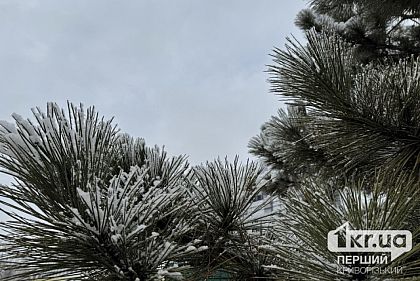 Ночью до -14°С, днем солнечно: погода в Кривом Роге 19 февраля