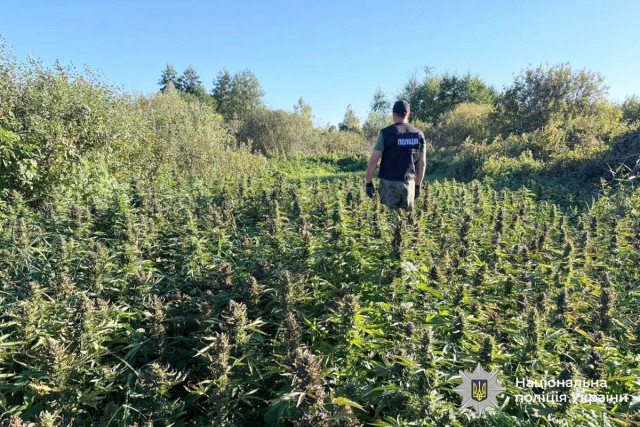 В нарколаборатории в Винницкой области задержали двух криворожан