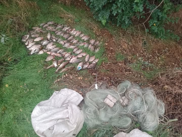 На Днепропетровщине мужчина незаконно выловил рыбы почти на 150 тысяч гривен
