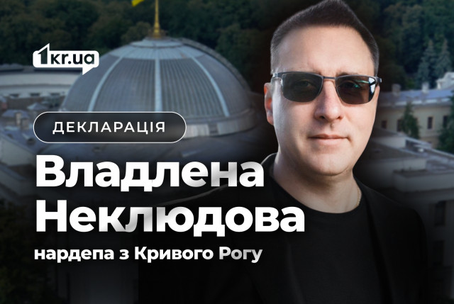 Что задекларировал народный избранник из Кривого Рога Владлен Неклюдов