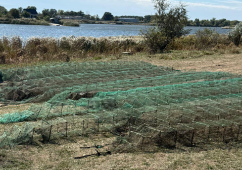 В Днепропетровской области браконьеры наловили рыбы и раков на 9 миллионов гривен убытков
