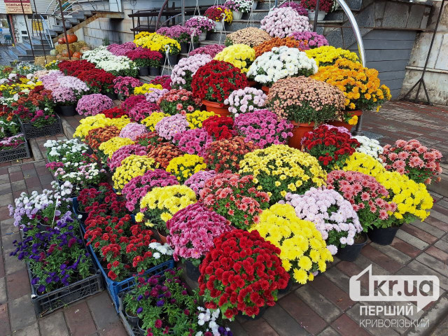 Какой будет погода в Кривом Роге 10 октября