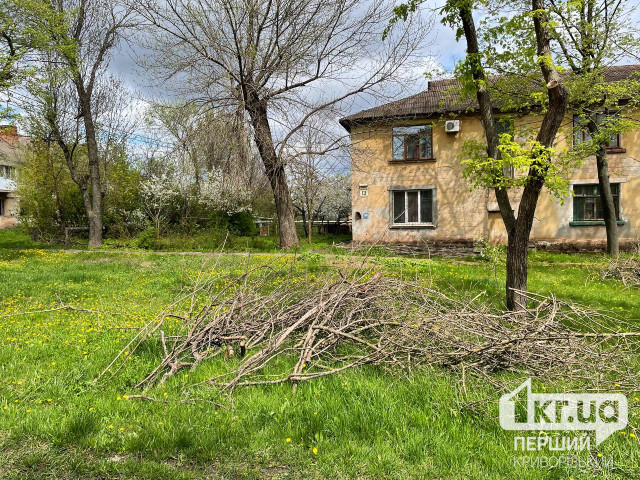 Криворіжцям нагадують – хто має прибирати гілки біля будинків