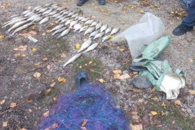 Рыбпатрульные Днепропетровской области разоблачили браконьера с сеткой