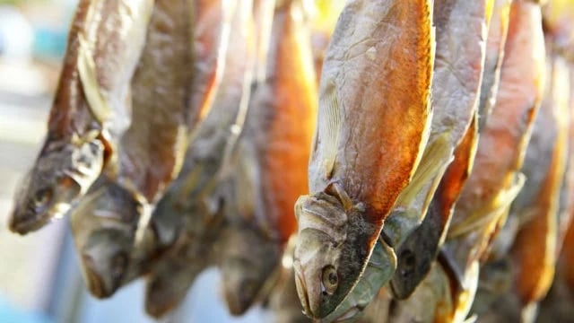 Сколько детей и взрослых из Днепропетровщины в этом году заболели ботулизмом