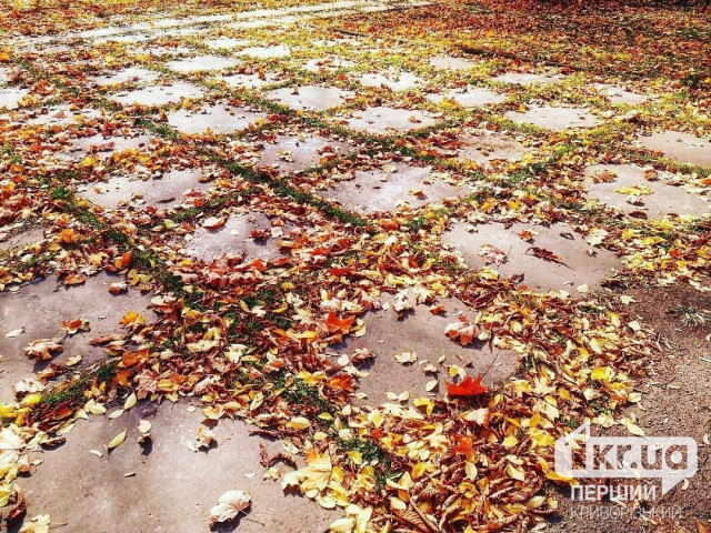 Какой будет погода в Кривом Роге 11 октября