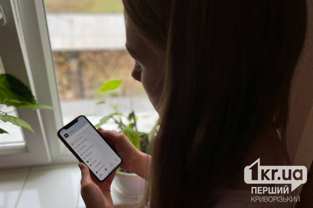 Дия не будет предоставлять несколько услуг — когда и почему