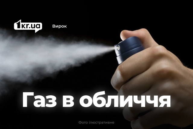Суд Кривого Рога наказал мужчину за нападение с газовым баллончиком на даче