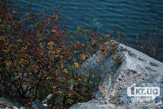 Погода у Кривому Розі 14 жовтня