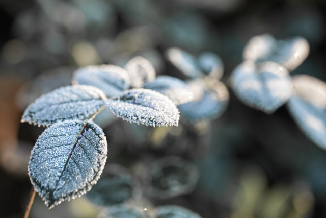 Криворожан предупреждают об экстремально низкой температуре