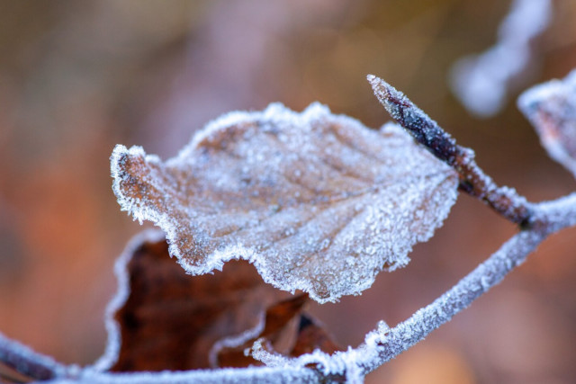 Криворожан предупреждают о вероятном снеге