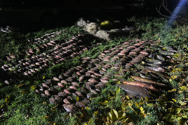 В Криворожье разоблачили браконьеров, которые незаконно выловили рыбы на сумму более 800 000 гривен