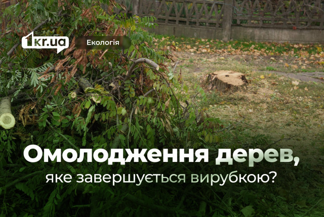 Омоложение с последующей вырубкой деревьев в Кривом Роге: превентивная мера или вред окружающей среде