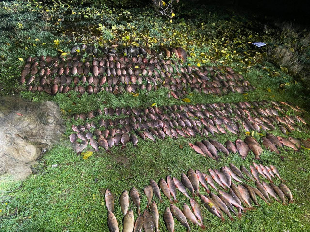 На Криворожье браконьеры выловили рыбы более чем на 800 тысяч гривен