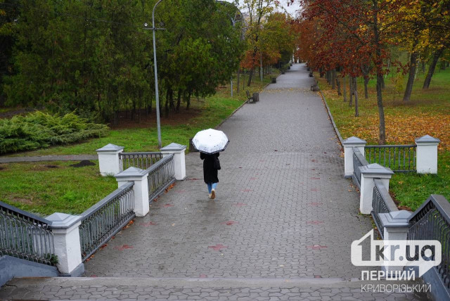 В некоторые дни будет дождь: погода в Кривом Роге на неделю
