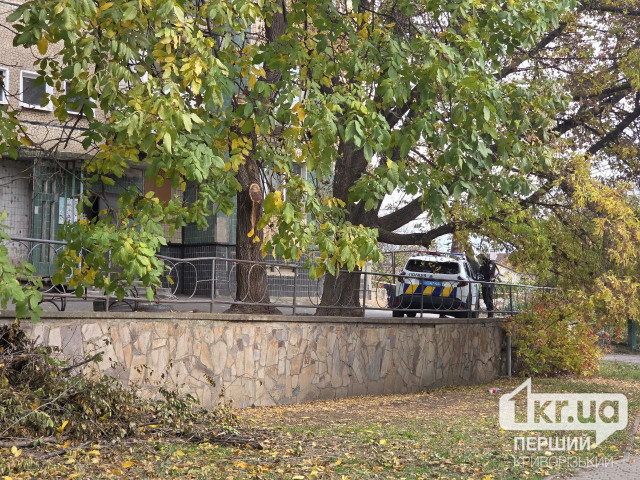 У Кривому Розі чоловік впав з багатоповерхового будинку