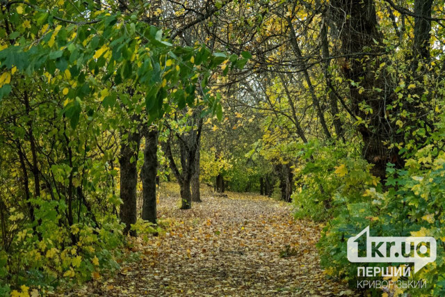 Какой погоды ждать криворожанам в последние выходные октября