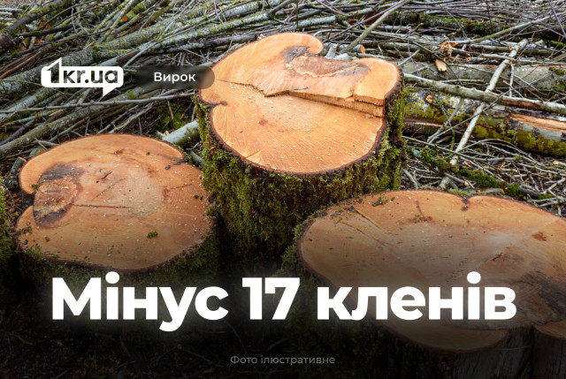 Суд Кривого Рога вынес приговор мужчине, который незаконно спилил клены